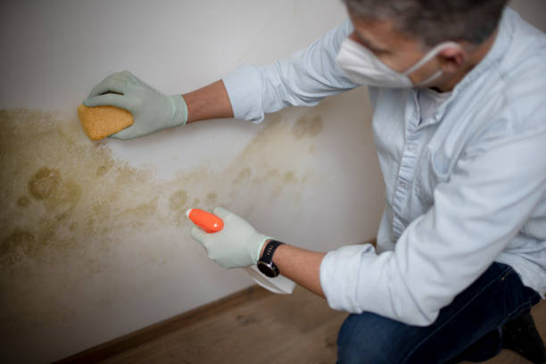 Crawl Space Mold Removal in La Selva Beach, CA