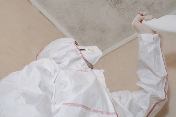 Best Mold Damage Repair  in La Selva Beach, CA