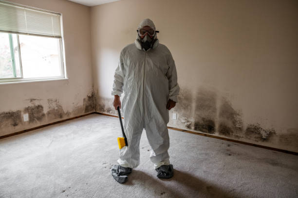 Best Crawl Space Mold Removal  in La Selva Beach, CA